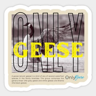 OnlyGeese Streetwear Style Sticker